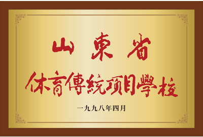 山东省体育传统项目学校