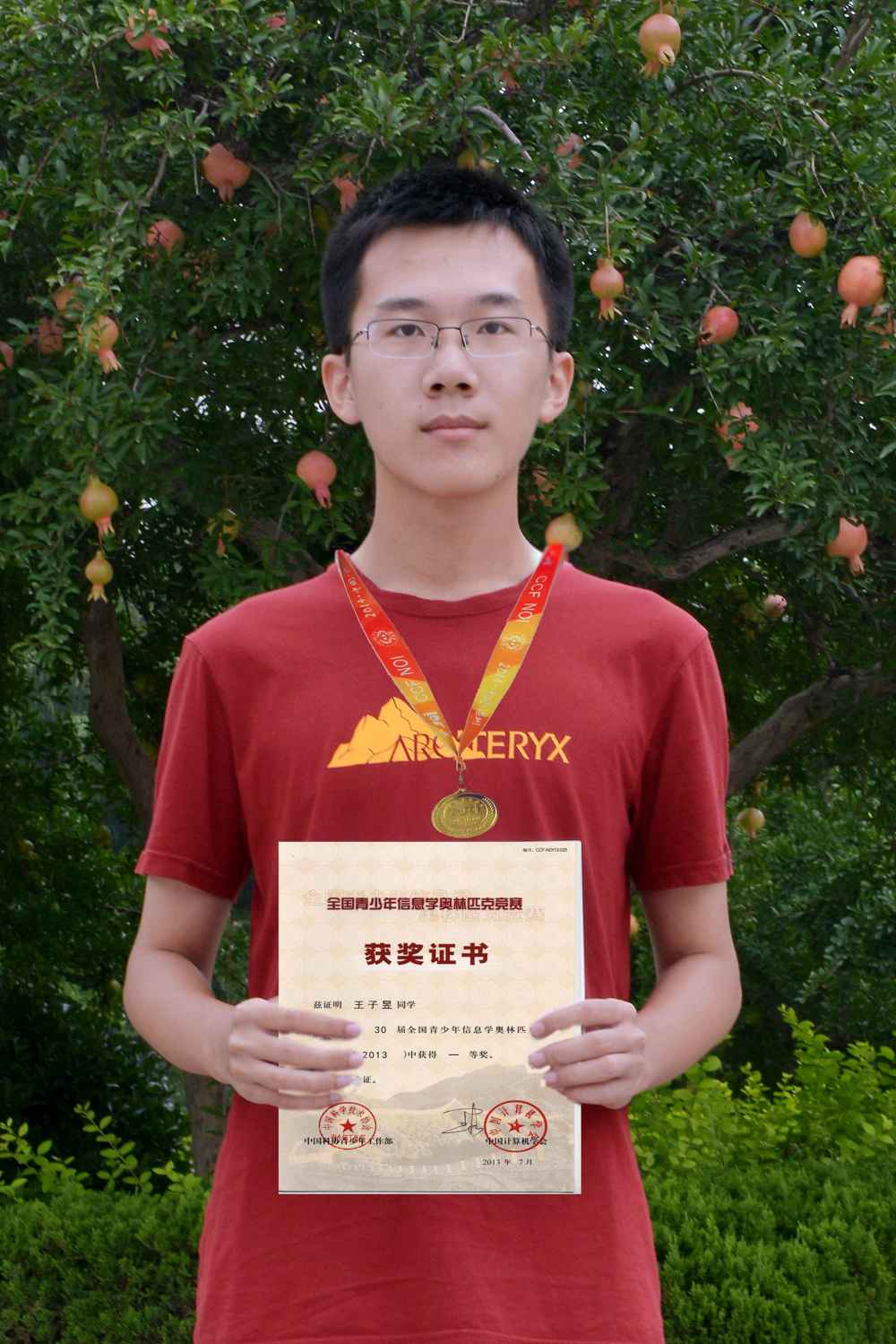 2013年第30届全国青少年信息学奥林匹克竞赛决赛金牌  王子昱