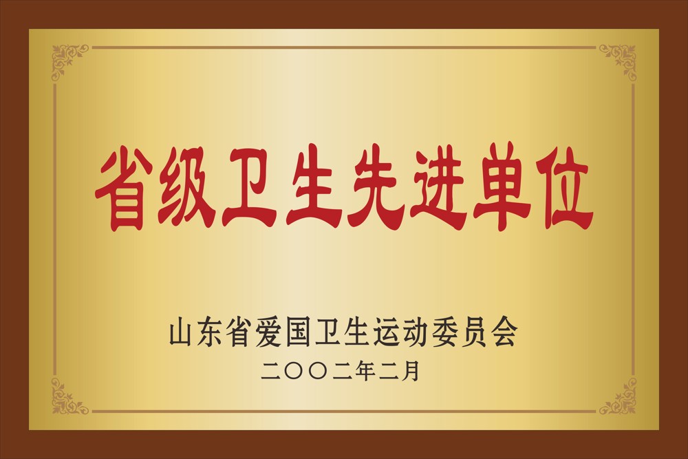 16.山东省爱国卫生运动委员会   省级卫生先进单位 2002年2月